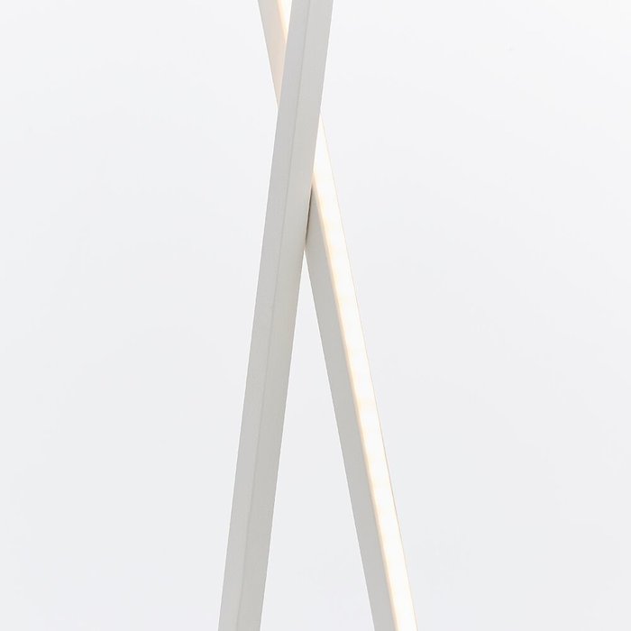 Loop - LED Floor Lamp - Matt White