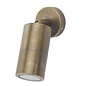 Ortex Single - Brass Outdoor Spotlight