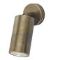 Ortex Single - Brass Outdoor Spotlight