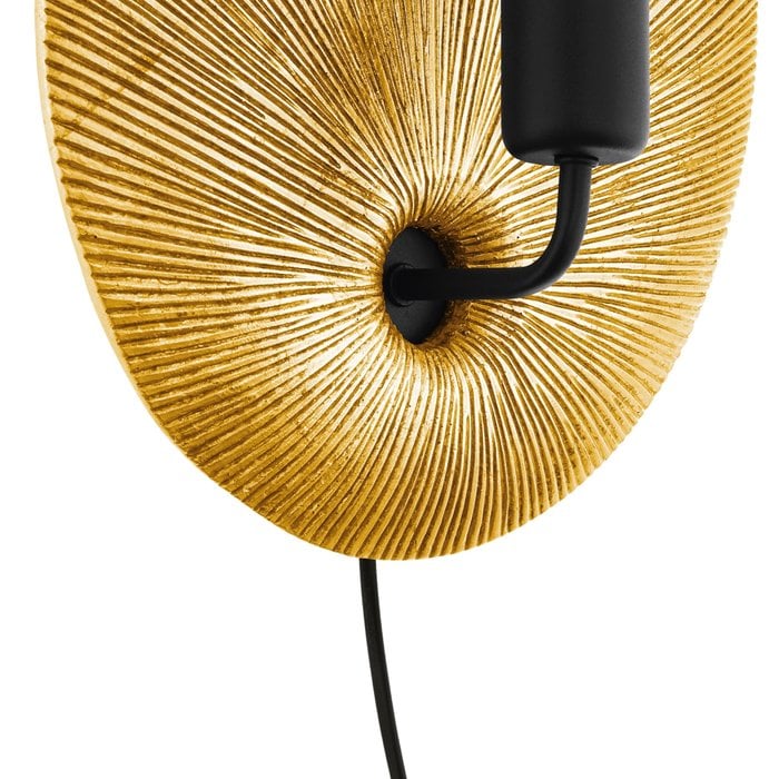 Shell - Gold Feature Wall Light