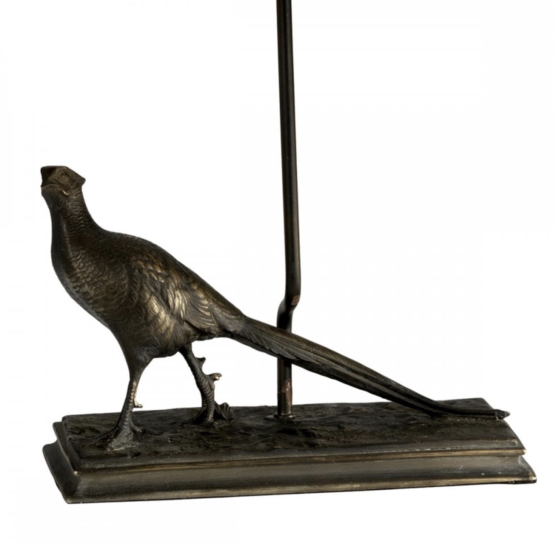 Argus Bronze Patina Pheasant Table Lamp