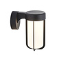 Ayton - Luxury Black & Frosted Glass LED Outdoor/Bathroom Wall Light