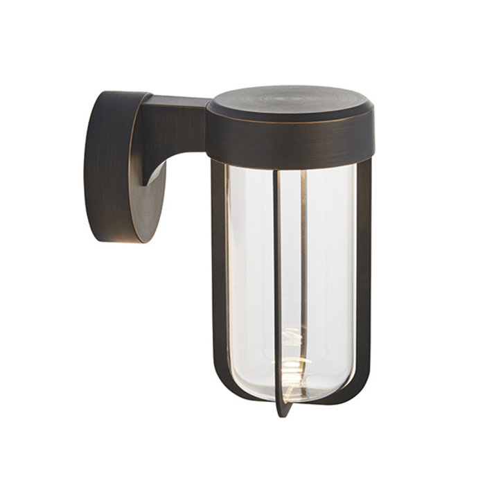 Ayton - Modern Brushed Bronze & Clear Glass LED Outdoor/Bathroom Wall Light