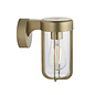 Ayton - Industrial Brushed Gold & Clear Glass Outdoor/Bathroom Wall Light