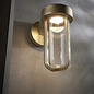 Ayton - Luxury Brushed Gold & Clear Glass LED Outdoor/Bathroom Wall Light