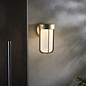 Ayton - Luxury Brushed Gold & Frosted Glass LED Outdoor/Bathroom Wall Light