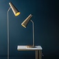 Leo - Task  Table Lamp in Antique Brass