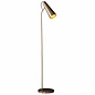 Leo - Task Floor Lamp in Antique Brass