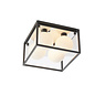 Leeman - Black Square Frame Bathroom Ceiling Light