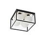 Leeman - Black Square Frame Bathroom Ceiling Light