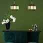 Demarius 1 Light Pendant Light - Green Glass Bronze Detail