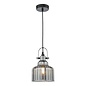 Rhode Single Pendant Light - Polished Chrome Smoked Glass