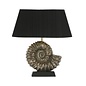 Ammonite - Bronze Table Lamp Base - David Hunt