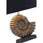 Ammonite - Bronze Table Lamp Base - David Hunt