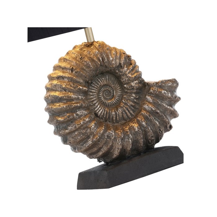 Ammonite - Bronze Table Lamp Base - David Hunt