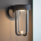 Ayton - Modern Brushed Bronze & Clear Glass LED Outdoor/Bathroom Wall Light