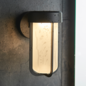 Ayton - Luxury Black & Frosted Glass LED Outdoor/Bathroom Wall Light