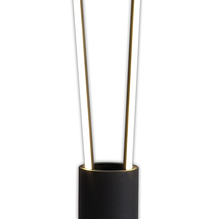 Patayo - 2 Light LED Floor Lamp in Black