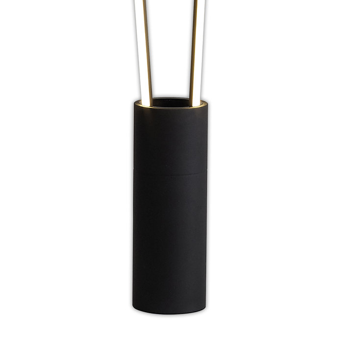 Patayo - 2 Light LED Floor Lamp in Black