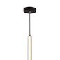 Patayo - Vertical LED Pendant/Floor Lamp in Black