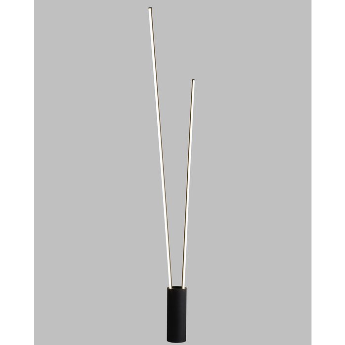 Patayo - 2 Light LED Floor Lamp in Black