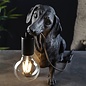 Ernie - Matt Black Dachshund Table Lamp