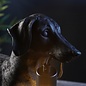 Ernie - Matt Black Dachshund Table Lamp