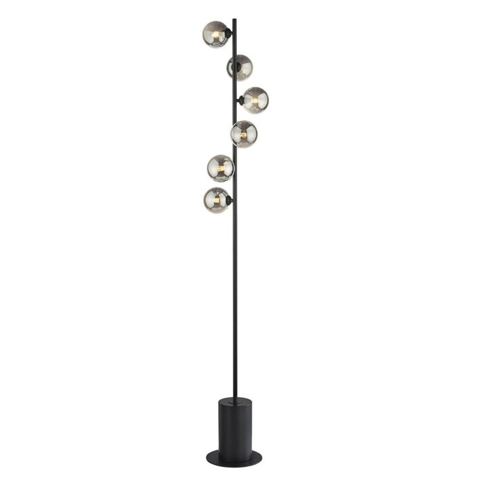 Spirit - 6 Light black  modern Floor Lamp with smoked glass