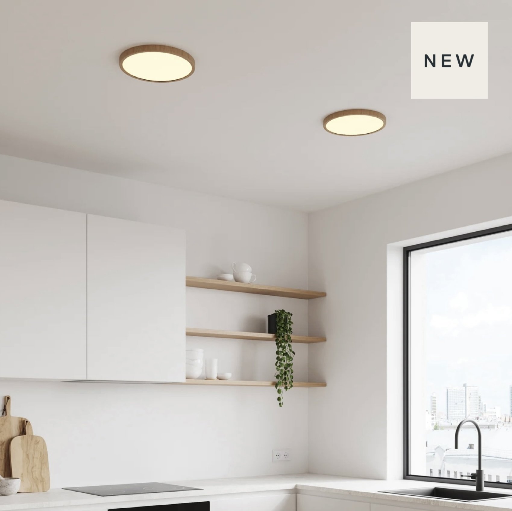 Ultra Slim Led Flush Ceiling Light