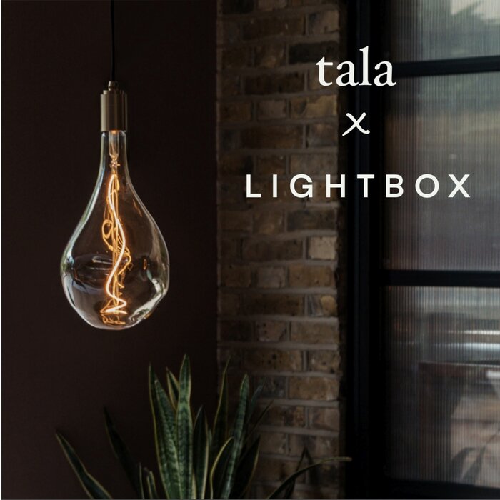 Tala Lighting 