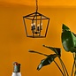 Fiona - 4 Light Black Lantern Feature Pendant