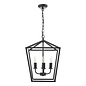 Fiona - 4 Light Black Lantern Feature Pendant