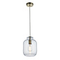 Lyra - Dimpled Clear Glass Single Pendant - Antique Brass