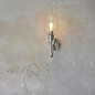Leda - Bright Nickel Wall Light with Clear Glass