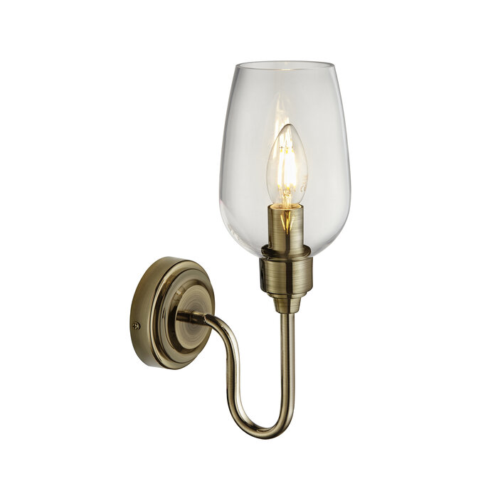 Rupert - Antique Brass Swan Neck Wall Light with Clear Glass