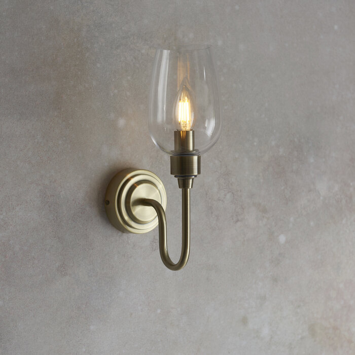 Rupert - Antique Brass Swan Neck Wall Light with Clear Glass