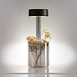 Elke - Minimalist Rechargeable Cordless Battery Table Lamp - White