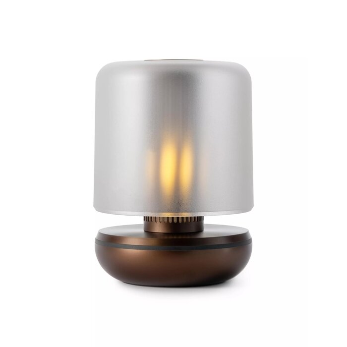 Noble Firefly - Rechargeable Cordless Table Lamp - Bronze & Frosted Glass