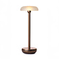 Noble Air - Rechargeable Cordless Table Lamp - Bronze & Frosted Glass