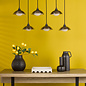 Cayda - Satin Black and Smoked Glass Bar Pendant Light