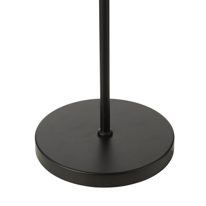 Cayda - Modern Smoked Glass and Black Floor Lamp