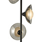 Cayda - Modern Smoked Glass and Black Floor Lamp