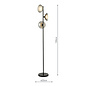 Cayda - Modern Smoked Glass and Black Floor Lamp