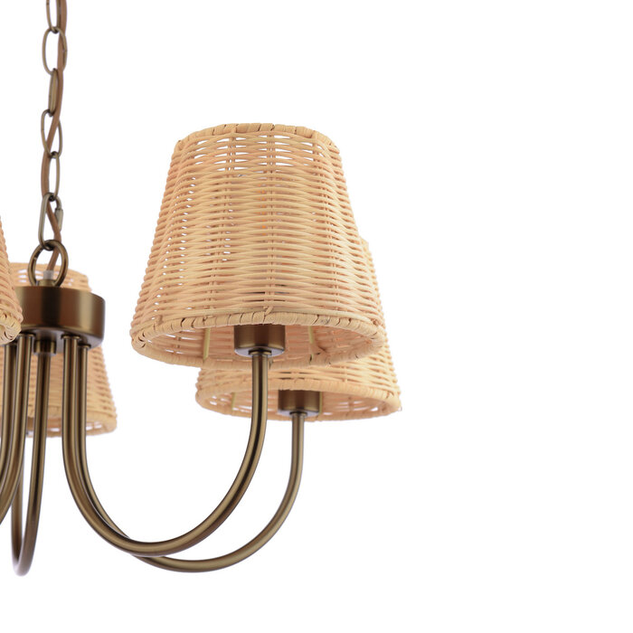 Hasfield - 5 Light Pendant Ceiling Light and Shades - Antique Bronze
