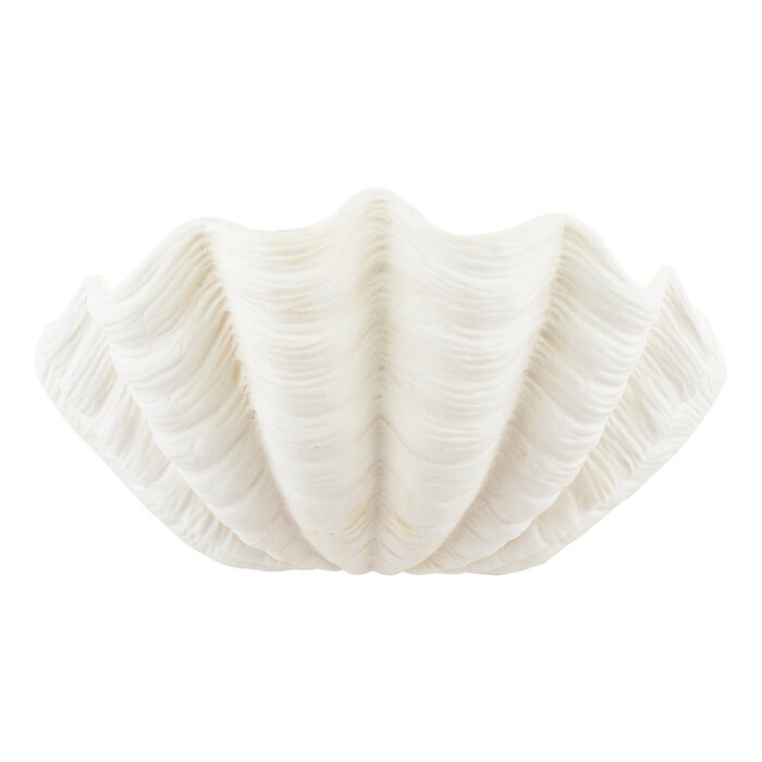 Shell Wall Light in White Ceramic - Laura Ashley