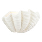 Shell Wall Light in White Ceramic - Laura Ashley