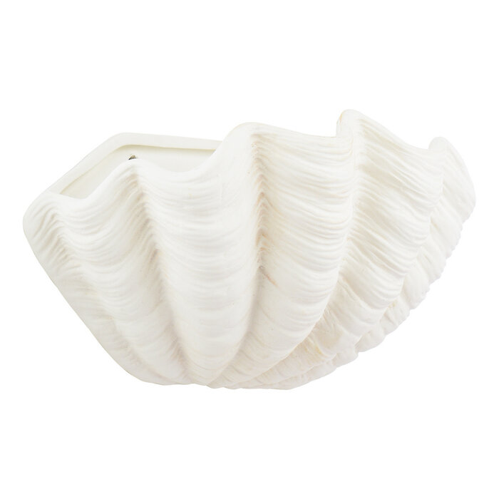 Laura Ashley Shell Wall Light in White Ceramic
