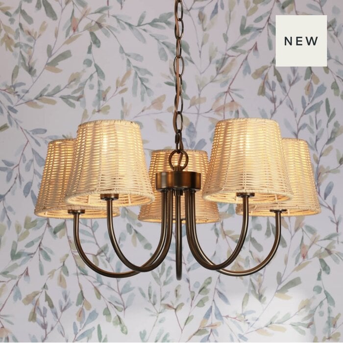 Hasfield - 5 Light Pendant Ceiling Light and Shades - Antique Bronze