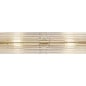 Tai - Large Two Light Wall Light with Glass Rods - Gold