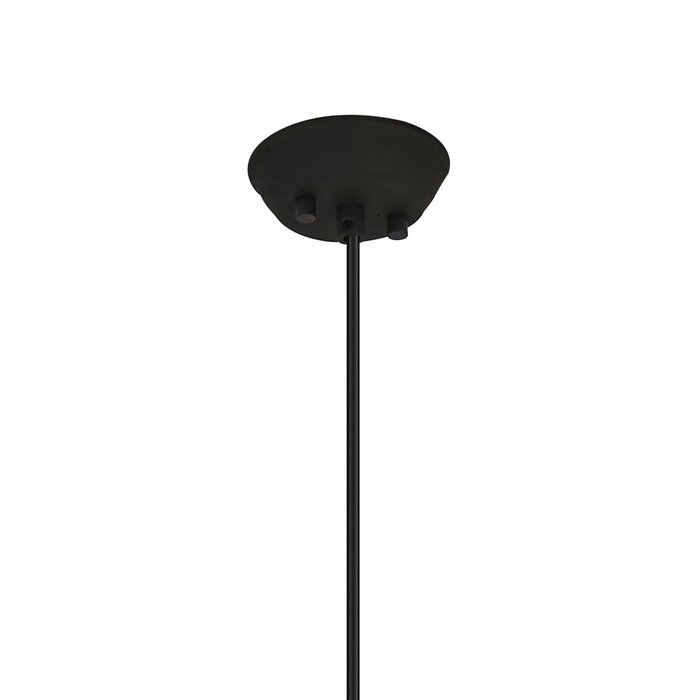 Tai - Single Light Pendant Ceiling Light with Glass Rods - Black